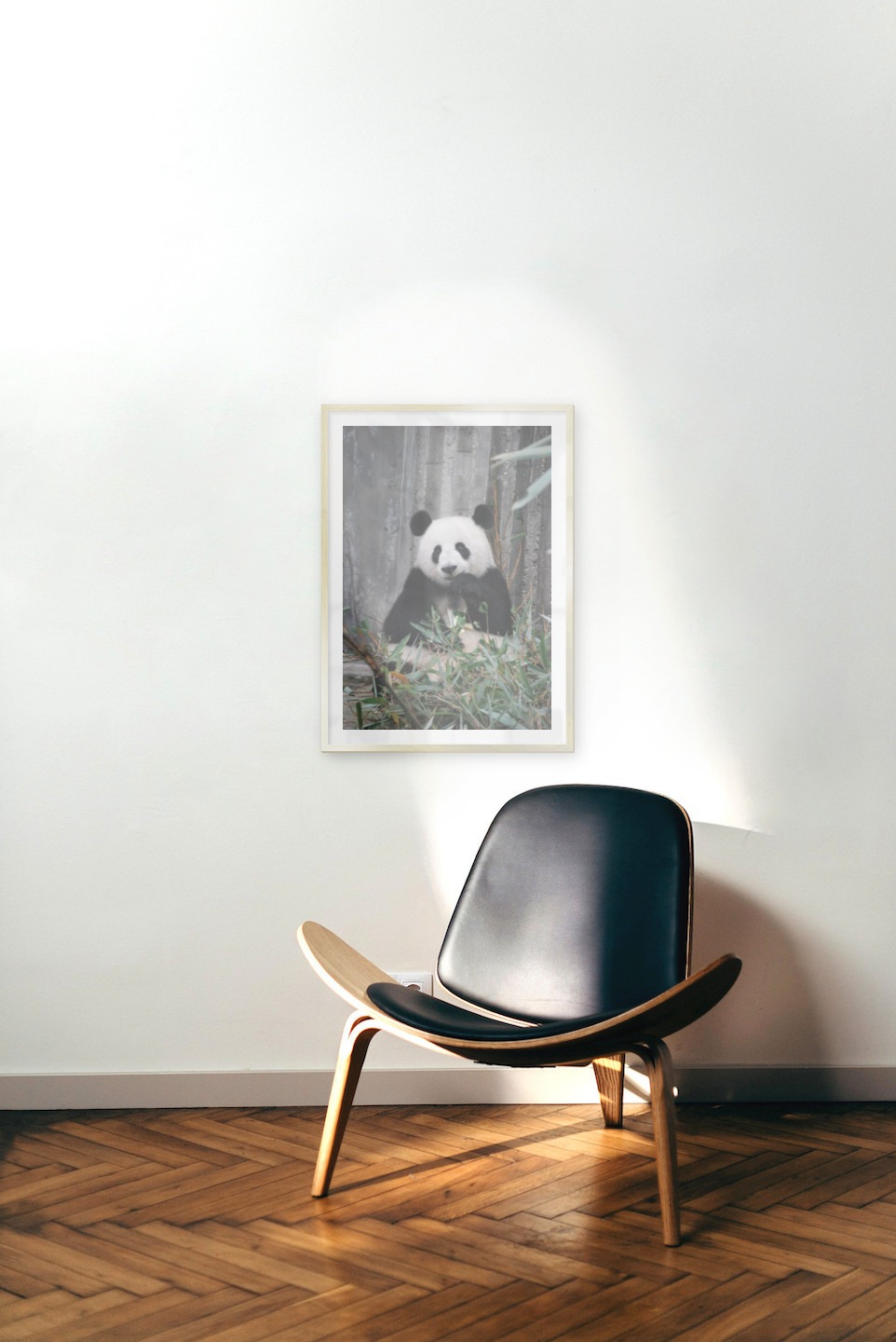 Tavelvägg med ram i guld i storlek 50x70 med poster med "Panda"