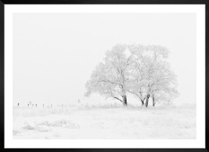 Tavelvägg med ram i svart i storlek 50x70 med poster med "Snöigt träd"